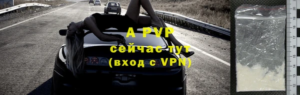 стафф Алексин