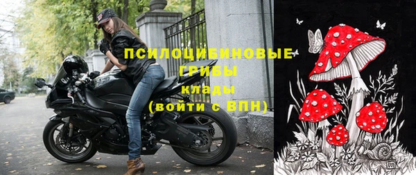 стафф Алексин
