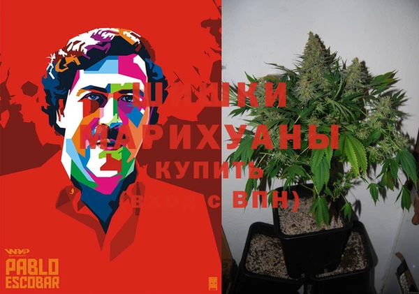 стафф Алексин