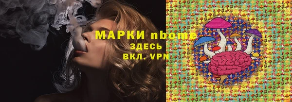 стафф Алексин