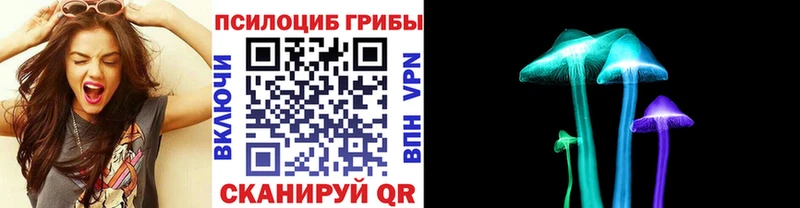 сайты даркнета телеграм  где найти наркотики  Дзержинский  Псилоцибиновые грибы Psilocybine cubensis 